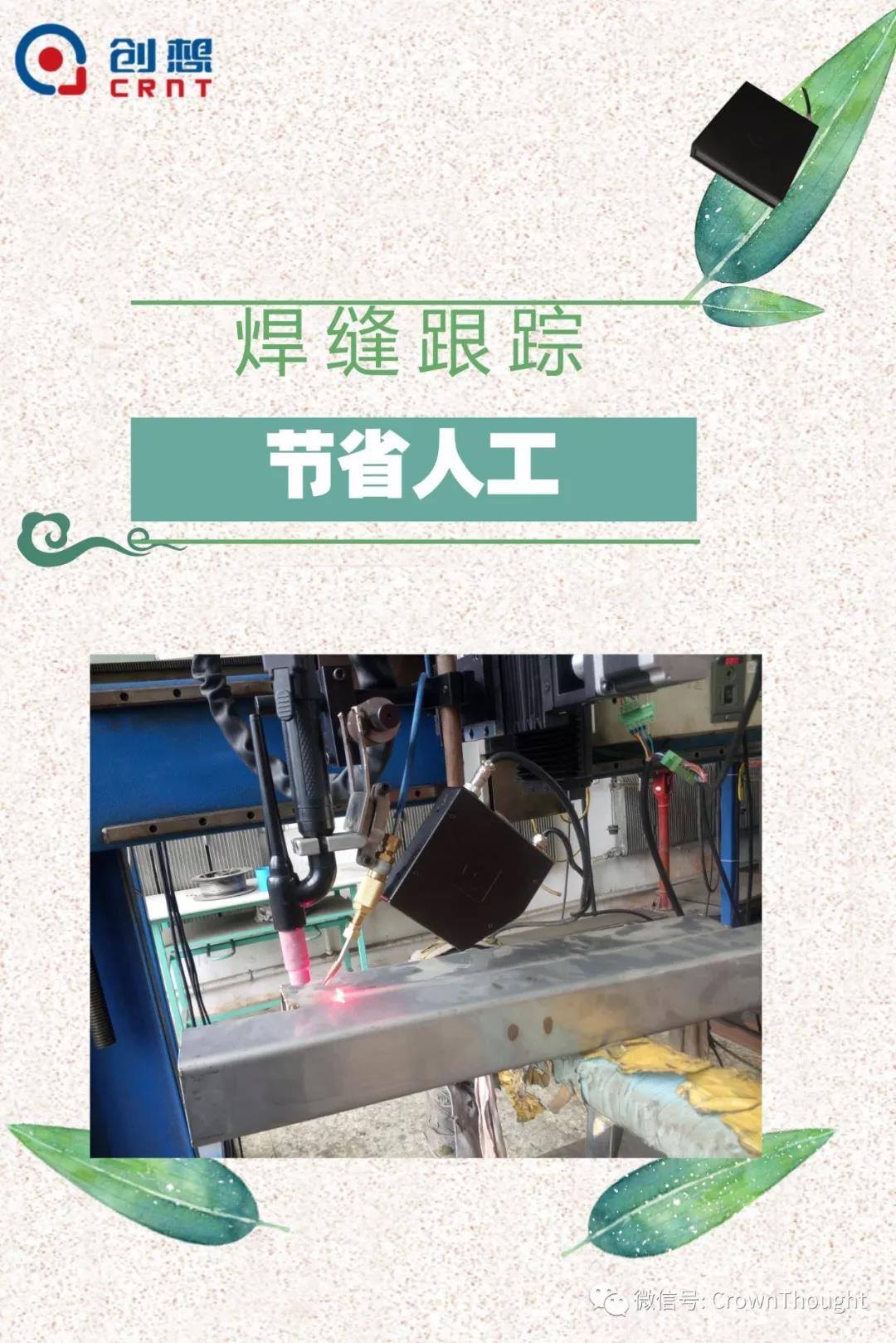 粽葉帶來的不僅僅是粽子，還有...